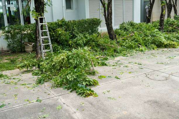 Best Aeration Services  in Westvle, IL